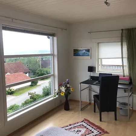 Panorama View *